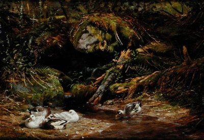 Enten am Quellkopf von Arthur Fitzwilliam Tait