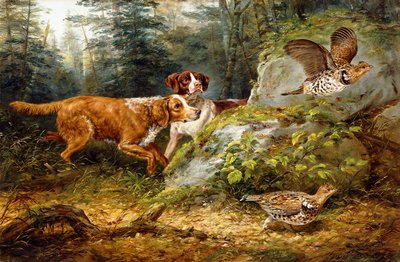 Aufgescheucht: Raufußhuhn-Jagd, 1857 von Arthur Fitzwilliam Tait