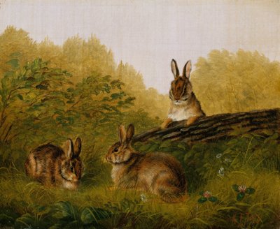 Kaninchen auf einem Baumstamm, 1897 von Arthur Fitzwilliam Tait