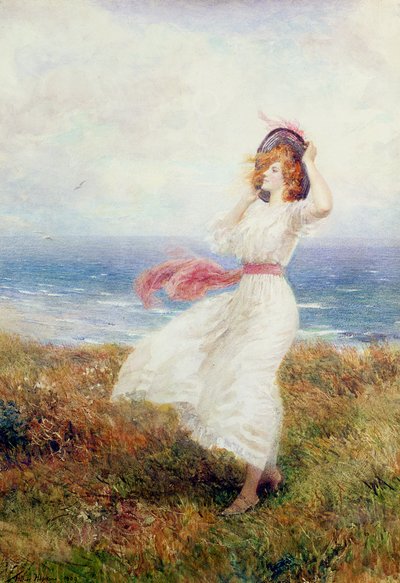 Ein Schlag auf den Klippen von Arthur Hopkins