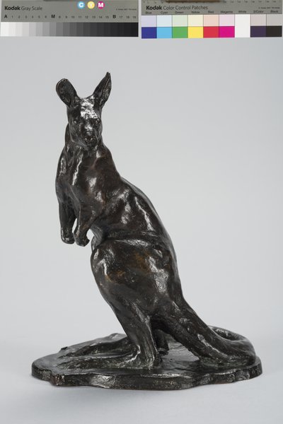 Känguru von Arthur Putnam