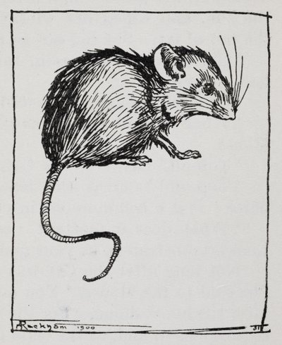 Eine Maus von Arthur Rackham