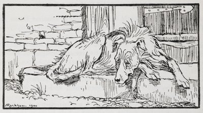 Illustration eines Hundes aus Der alte Sultan von Arthur Rackham