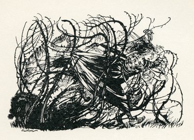 Die drei Köpfe des Brunnens von Arthur Rackham