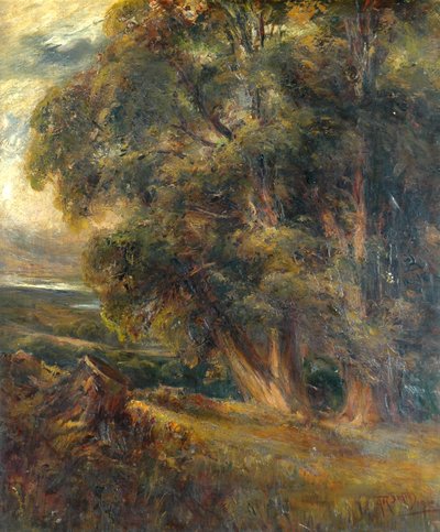Baumstudie von Arthur Reginald Smith
