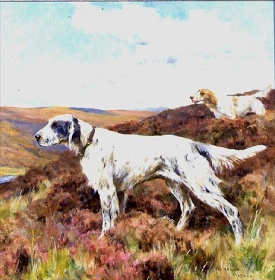 Englische Setter von Arthur Wardle