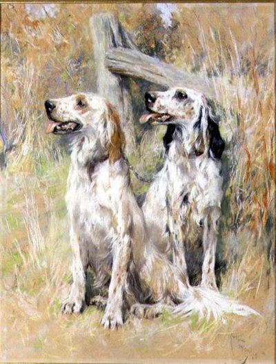 Englische Setter an einem Gatter von Arthur Wardle