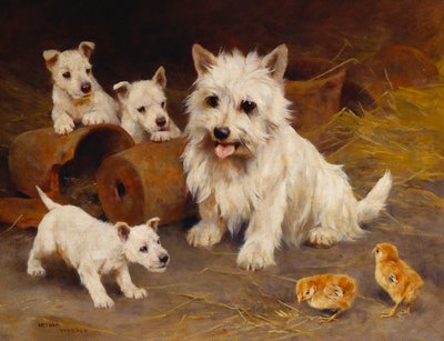 Freund oder Feind von Arthur Wardle