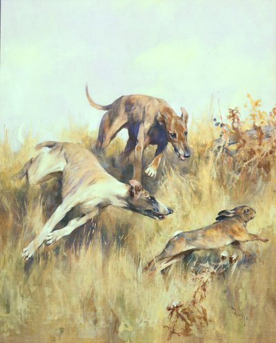 Windhunde auf der Jagd von Arthur Wardle