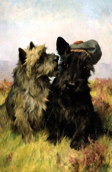 Auf die Weide von Arthur Wardle