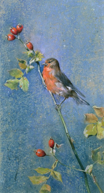 Rotkehlchen auf einem Ast von Arthur Wardle