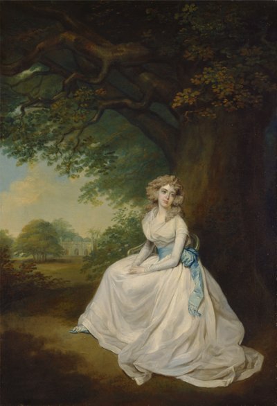 Lady Chambers von Arthur William Devis