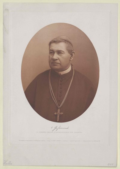 Johannes Haller (Druck) von Artist Unknown