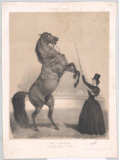 Lebte um 1860 Tourniaire von Artist Unknown