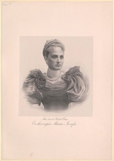 Prinzessin von Sachsen Maria Josefa von Artist Unknown