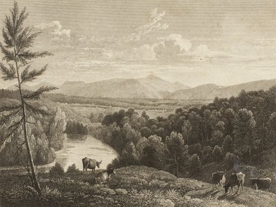 Catskill Mountains von Asher Brown Durand