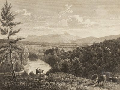 Catskill Mountains von Asher Brown Durand