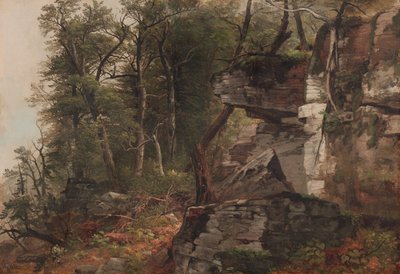 Bäume auf einem felsigen Hügel von Asher Brown Durand