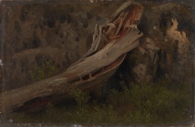 Studie eines verfallenden Baumstamms von August Cappelen