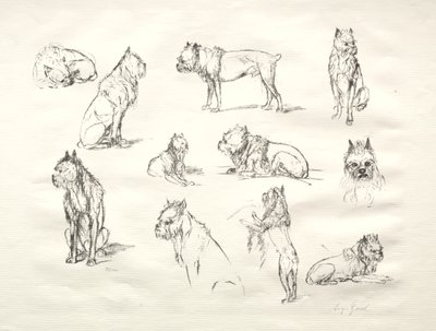Studie von Hunden von August Gaul