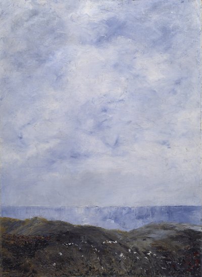 Küstenlandschaft, 1903 von August Johan Strindberg