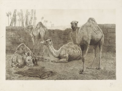 Kamele von August Le Gras