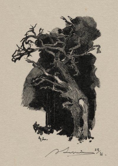 Der Wütende von Auguste Louis Lepère