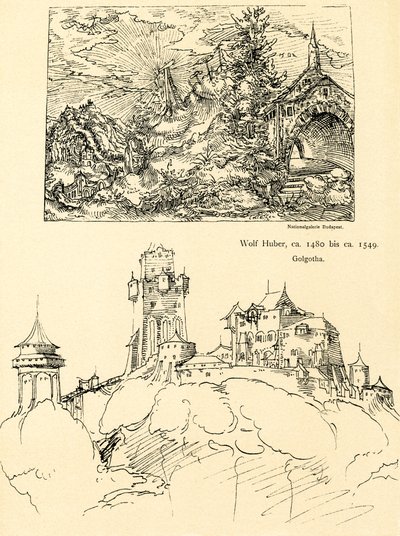 Naturstudie von Augustin Hirschvogel