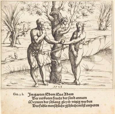 Der Sündenfall von Augustin Hirschvogel