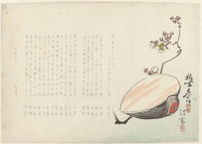 Muschel von Ayaoka Yûshin