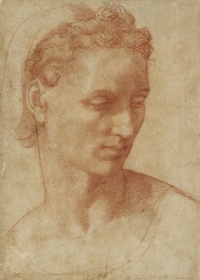 Kopf einer Frau von Baccio Bandinelli