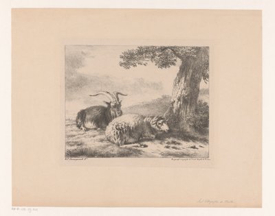 Bock und Schaf von Balthasar Paul Ommeganck