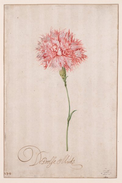 Die Polnische Mütze von Balthasar van der Ast