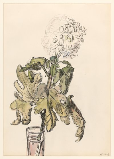 Blühende Chrysantheme in einer Vase von Barbara Elisabeth van Houten