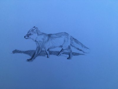 Fuchs, 2018 von Barbara Hoogeweegen