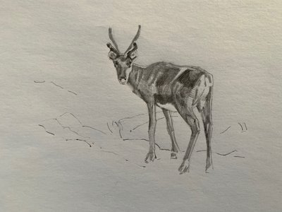 Rentier, 2019 von Barbara Hoogeweegen