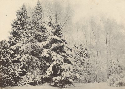 Landschaft mit Tannen im Schnee von Baron A. Fays