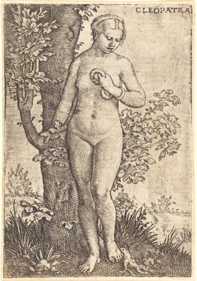 Kleopatra von Barthel Beham
