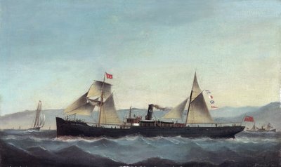 S.S. Glanrheidol von Basi Ivancovich
