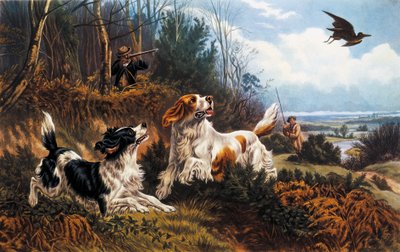 Schnepfenjagd von Basil Bradley