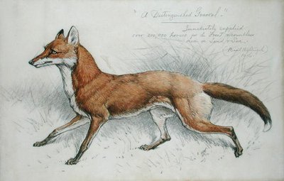 Ein angesehener General von Basil J. Nightingale
