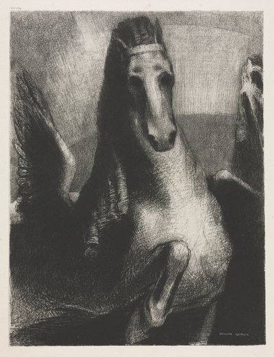 Der Flügel von Becquet