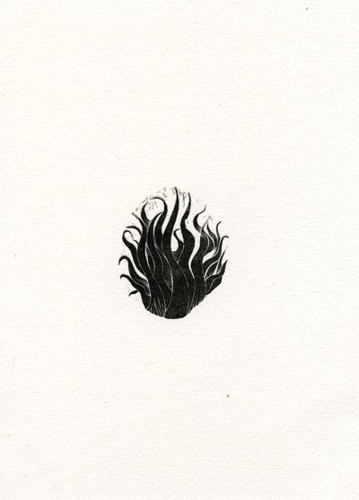 Feuer, 2017 von Bella Larsson