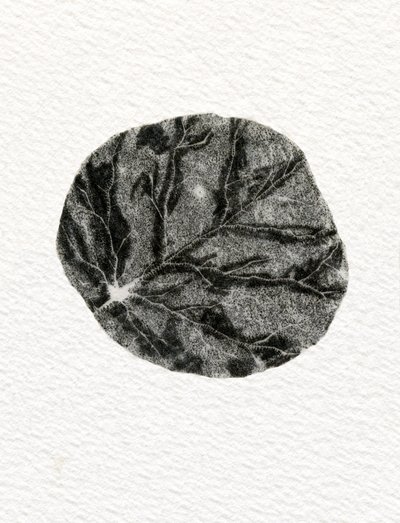 Blatt, 2014 von Bella Larsson