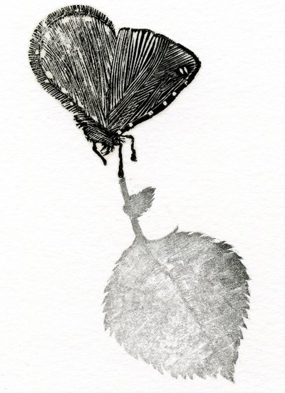 Spannung, 2014 von Bella Larsson