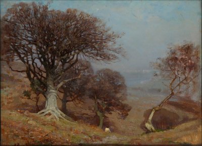 Buchen auf den Quantocks, 1885-1924 von Benjamin Haughton