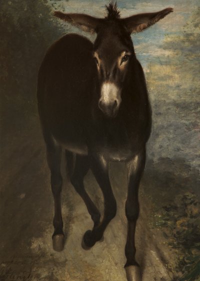 Ein sizilianischer Esel von Benjamin Haydon