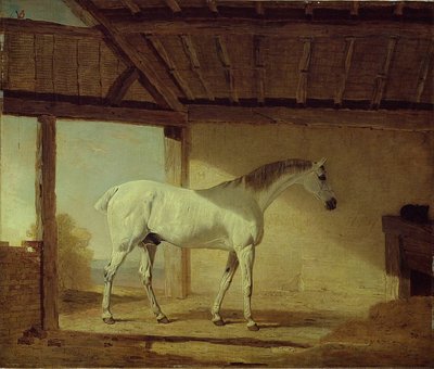 Das Pferd des Earl of Coventry, 1805 von Benjamin Marshall
