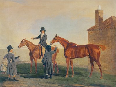 Goldammer, ca. 1800 von Benjamin Marshall
