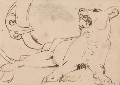 Studie einer Löwin von Benjamin Robert Haydon